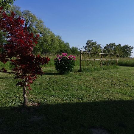 La Ferme De La Terve Bed and Breakfast Bruailles Exteriör bild
