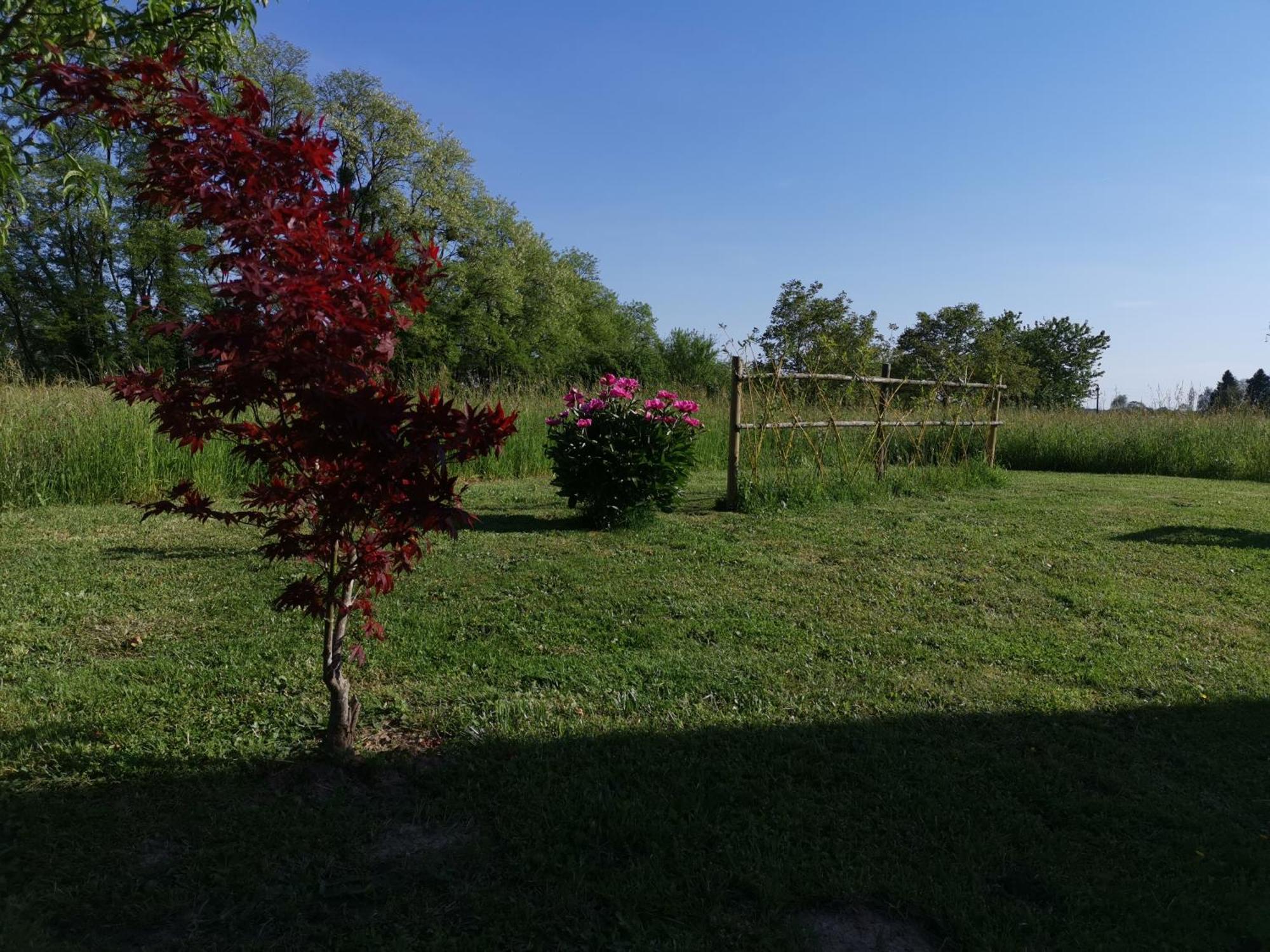 La Ferme De La Terve Bed and Breakfast Bruailles Exteriör bild